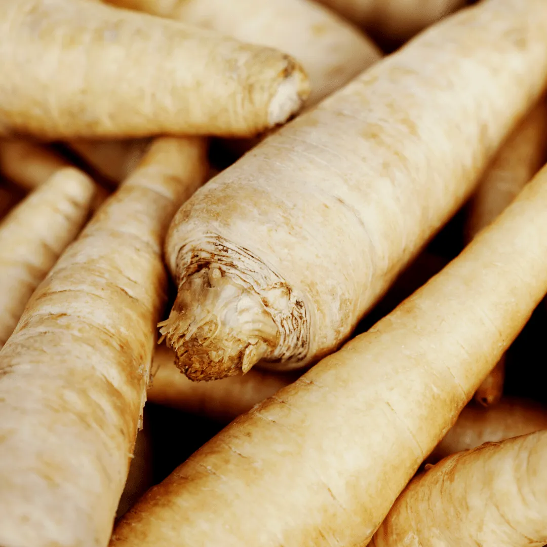 Parsnip Gladiator Seeds | West Coast Seeds